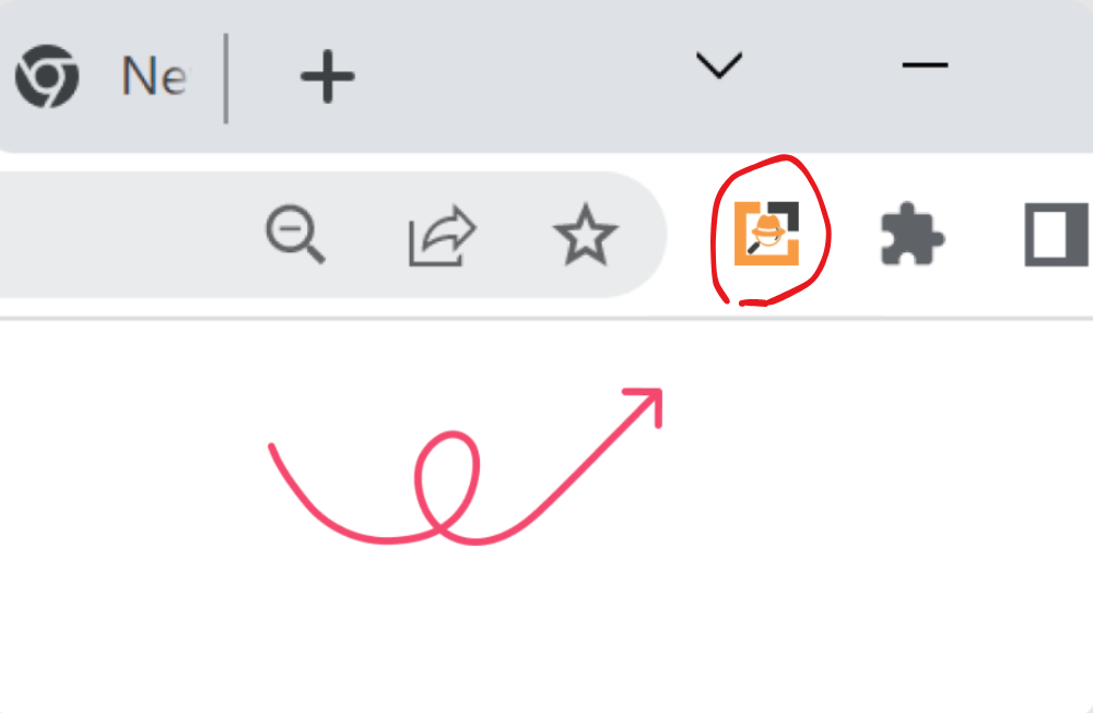 Step 2: Click the Extension Icon